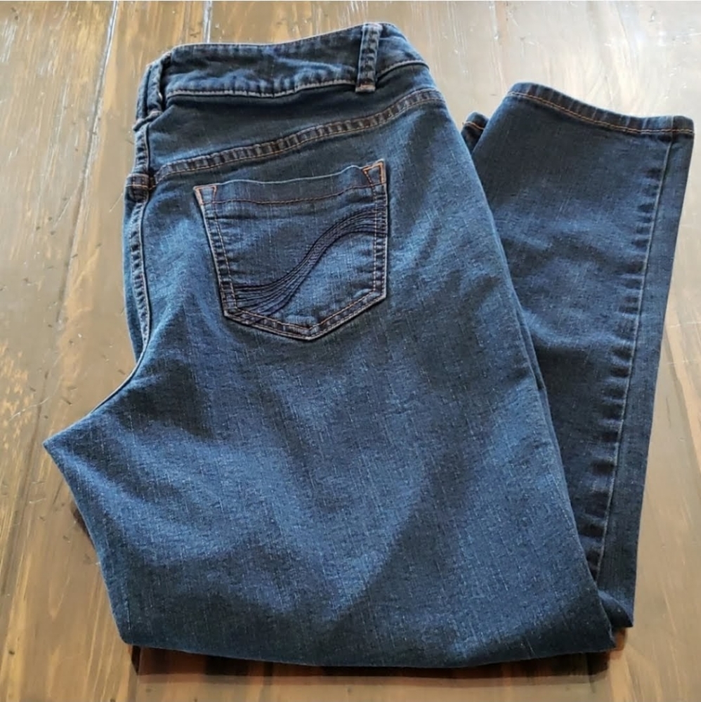 Lane Bryant Genius Fit jeans